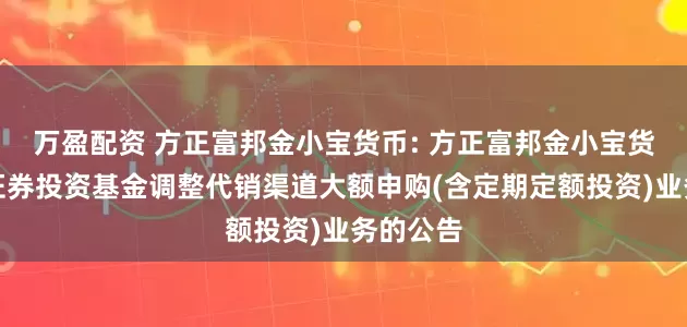 万盈配资 方正富邦金小宝货币: 方正富邦金小宝货币市场证券投资基金调整代销渠道大额申购(含定期定额投资)业务的公告