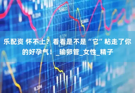 乐配资 怀不上？看看是不是“它”粘走了你的好孕气！_输卵管_女性_精子