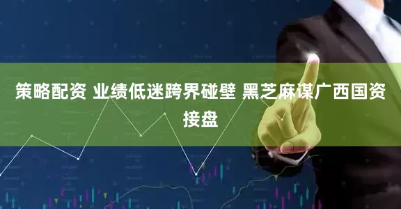 策略配资 业绩低迷跨界碰壁 黑芝麻谋广西国资接盘