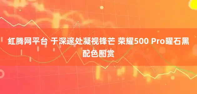 红腾网平台 于深邃处凝视锋芒 荣耀500 Pro曜石黑配色图赏